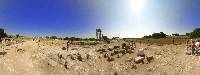 Image of The Apollo temple at the Acropolis of RhodesRhodes Rhodos Rodos Photo